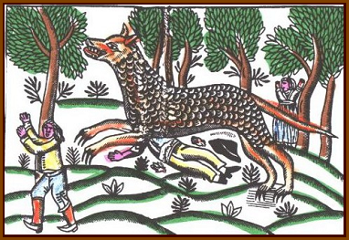 B�te d'Orl�ans