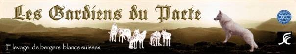Logo Les gardiens du Pacte