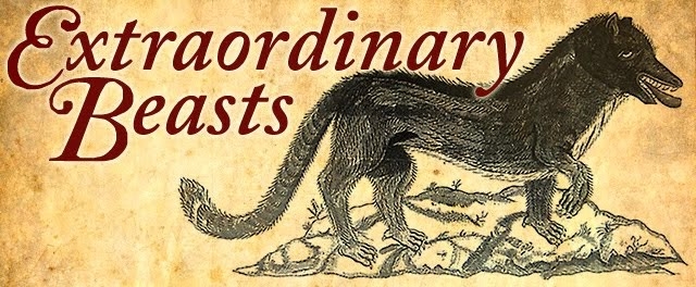 Logo Blog Gus