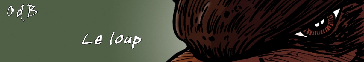 Le loup : pr�sentation