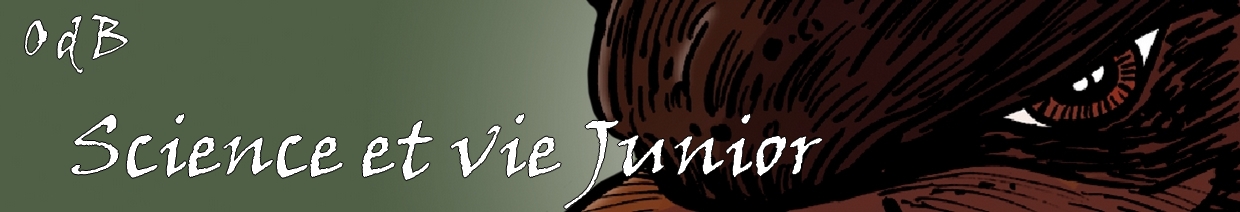 Science et Vie Juniors