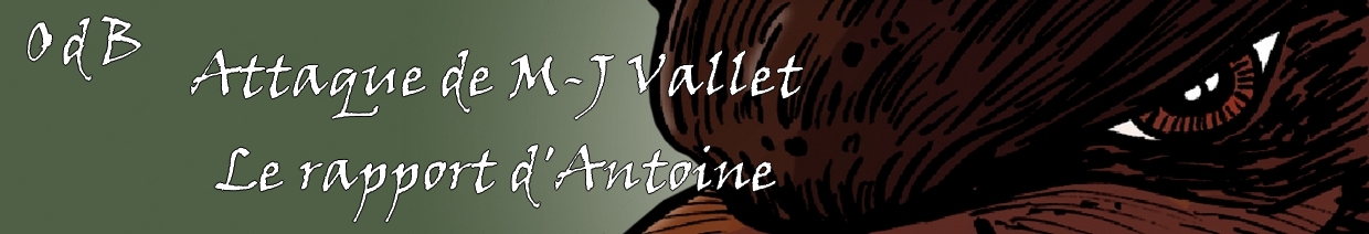 Rapport de l'attaque de Marie-Jeanne Vallet