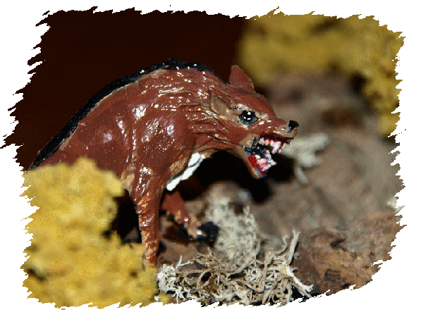 Chasse � la B�te