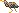 Puce b�te du Ramel